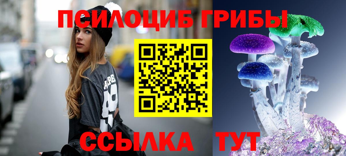 Псилоцибиновые грибы Psilocybe Нефтекумск